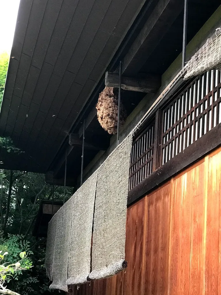 蜂の巣